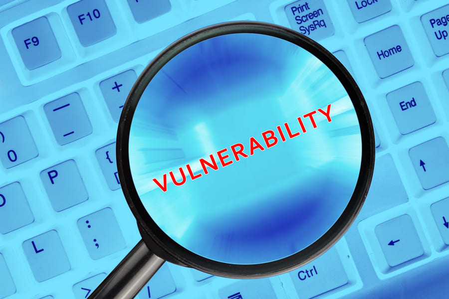 Vulnerability lupa